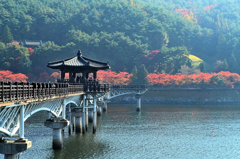 안동
