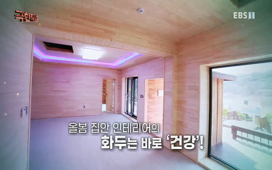 TV - 교육의 중심 EBS봄맞이 인테리어, 천연 소재로 건강을 잡아라.mp4_20220514_192318.541.jpg