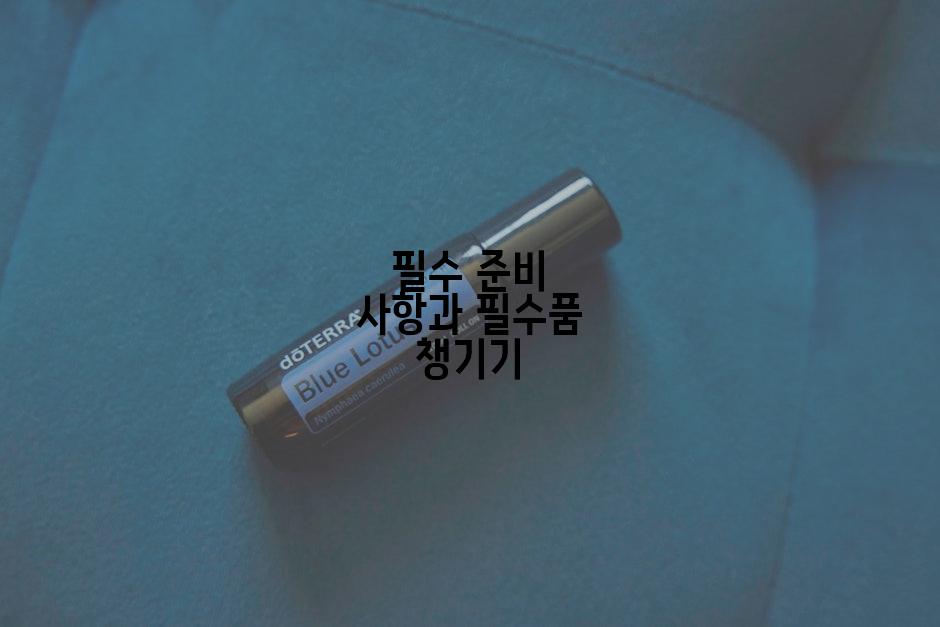 필수 준비 사항과 필수품 챙기기