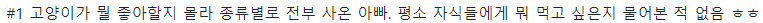  반려동물이 싫다던 사람들