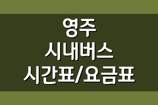  영주 시내버스 시간표 및 요금표