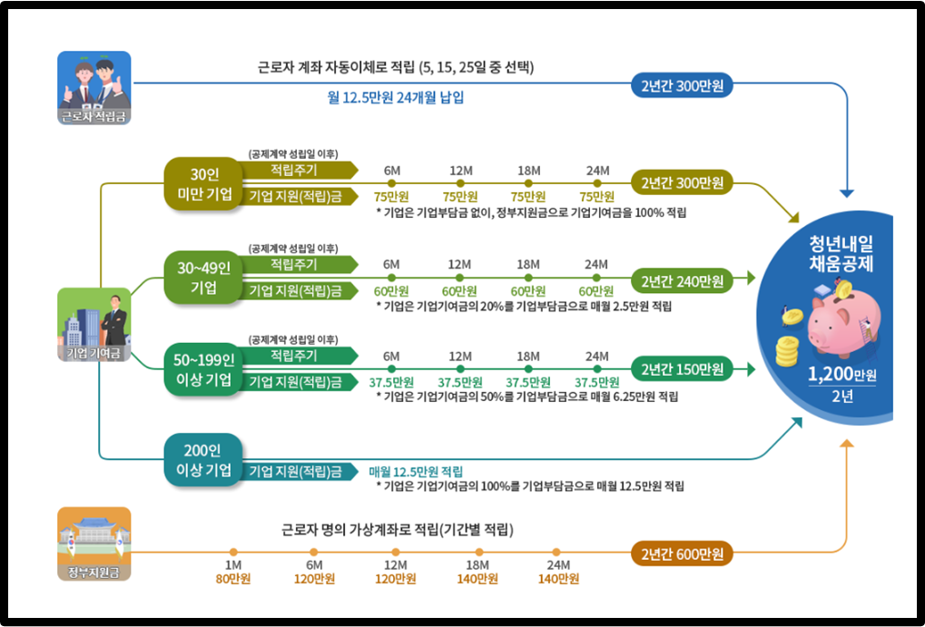 청년내일채움공제 프로세스