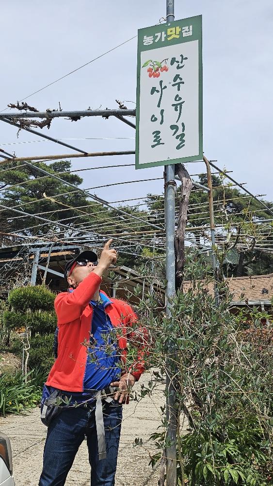 Sansuyugilsairo (산수유길사이로) 1