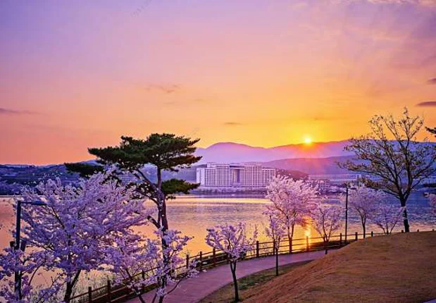 소노벨 경주