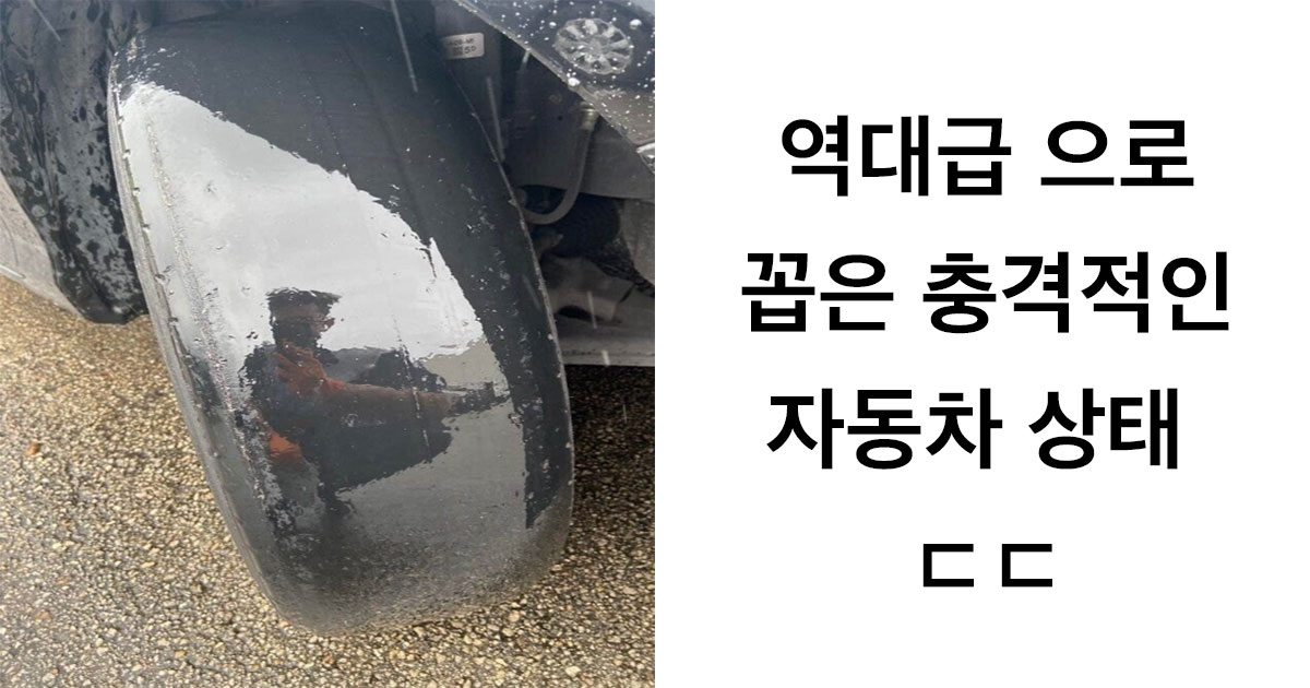  카센타 직원이 역대급으로 꼽은 충격적인 차의 상태