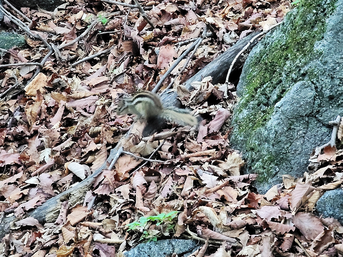 소백산국립공원 희방제2주차장 이미지