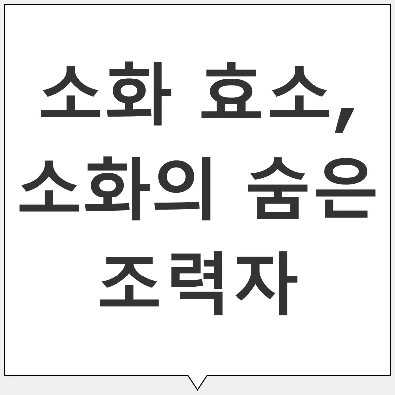 소화 건강_3