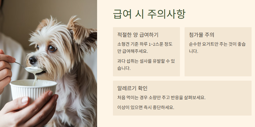 급여 시 주의사항