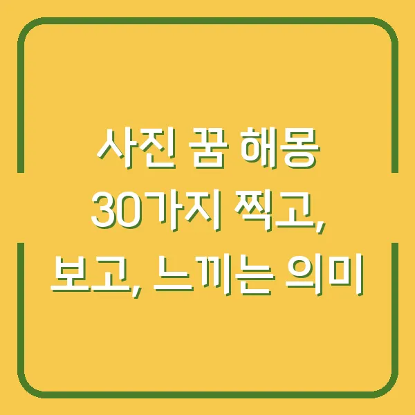 사진 꿈 해몽 30가지 찍고, 보고, 느끼는 의미