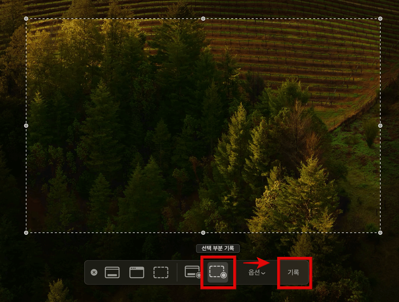 선택-부분-녹화