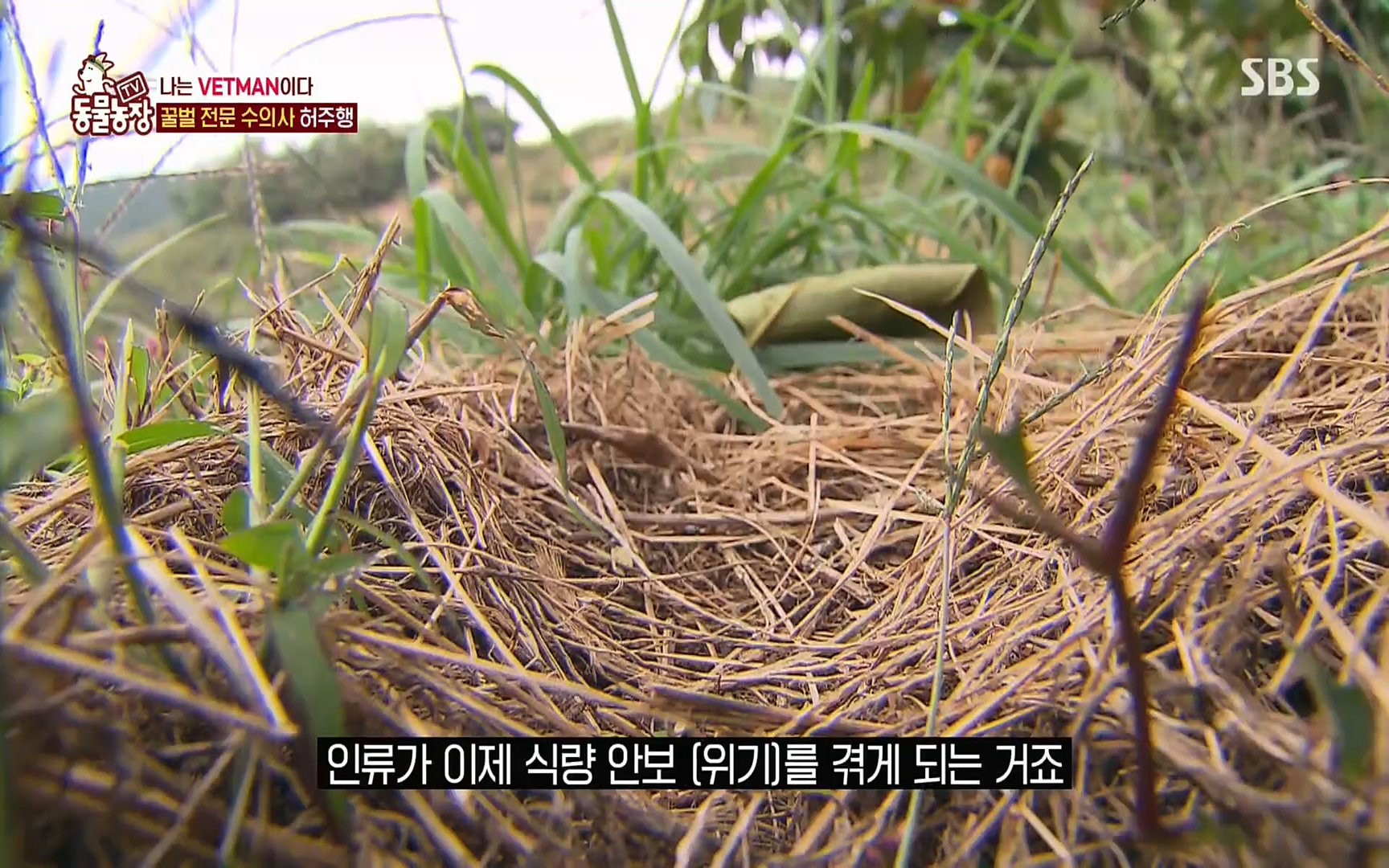 TV 동물농장.E1072.220605p.H264-F1RST.mp4_20220605_181258.455.jpg