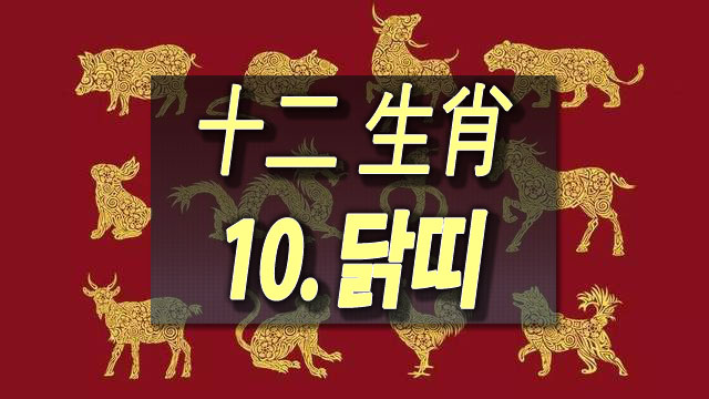  [평생 운세] "태어난 연도"별 운명 - 10. 닭띠