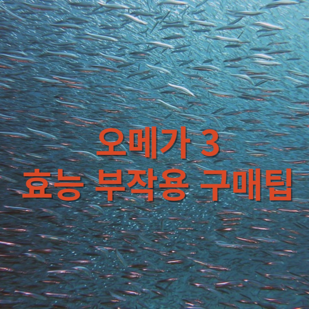 오메가3-효능-부작용