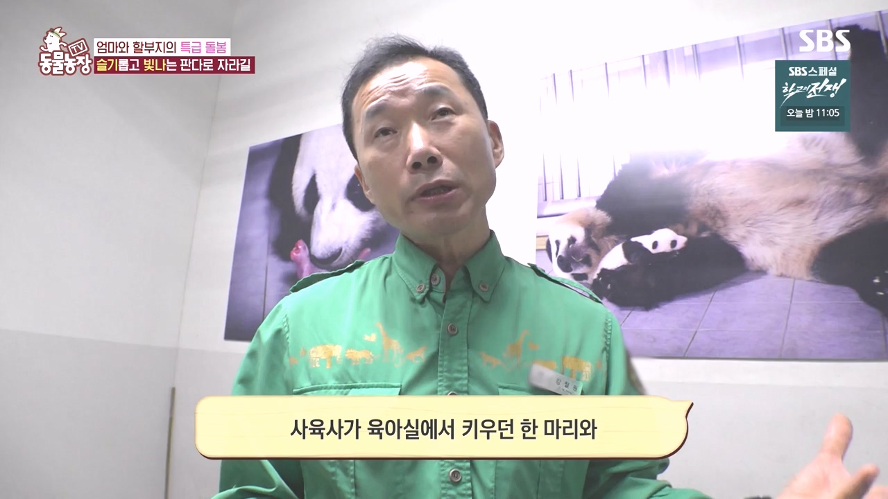 TV 동물농장.E1142.231023p-NEXT.mp4_20231022_174000.121.jpg