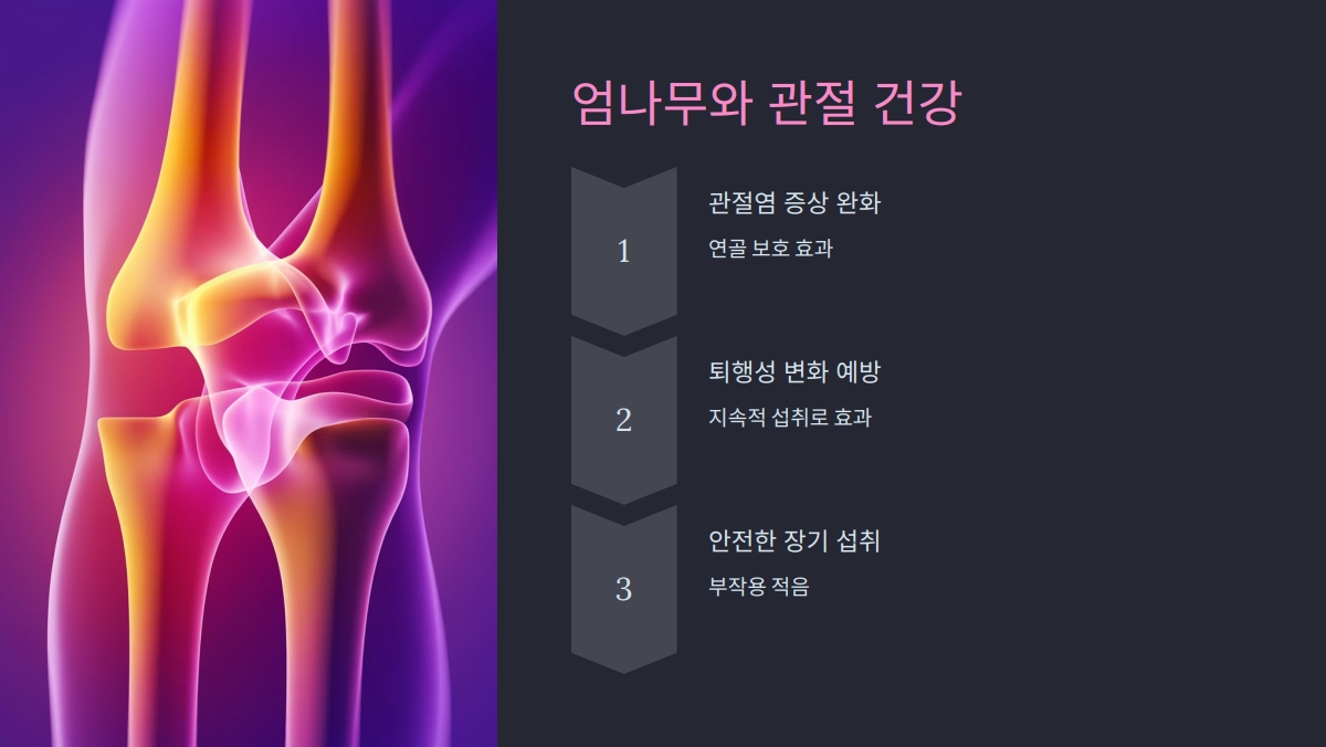 엄나무 효능