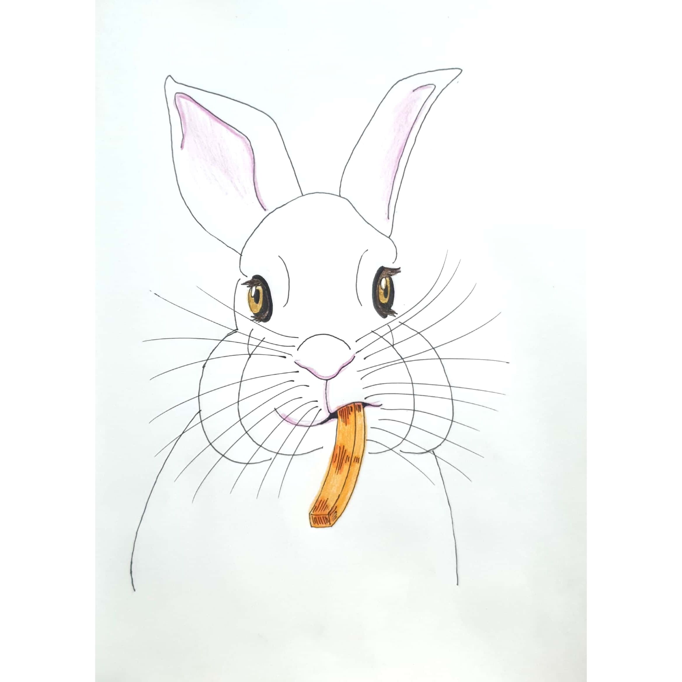 eating carrot 당근 먹기 / 일러스트 그림 드로잉 / 동물 그리기