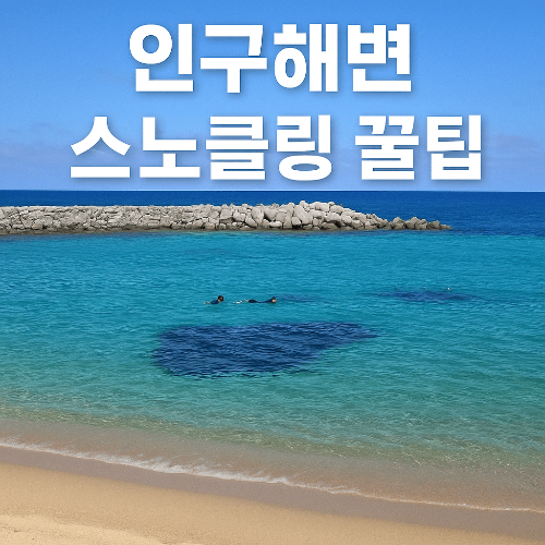 인구해변 스노쿨링 꿀팁: