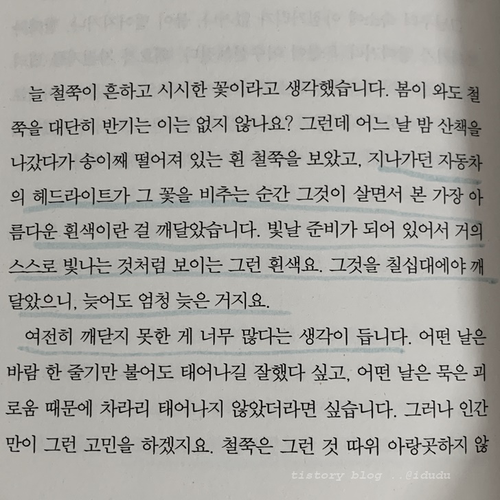 시선으로부터10