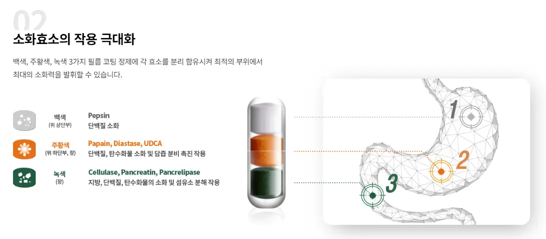 다제스-캡슐-정제-구성