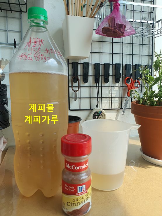 계피물 계피가루