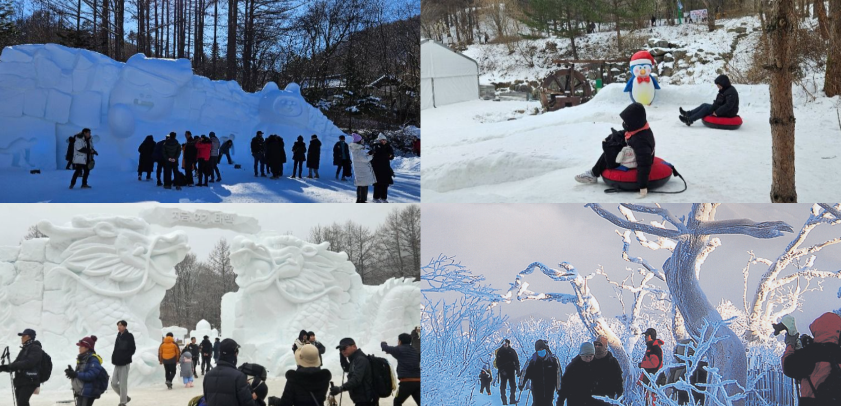 태백산 눈꽃축제 일정