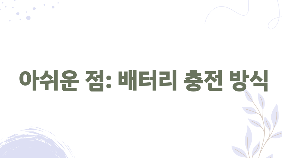 니콘 쿨픽스 P500, 10년 후에도 빛날까? 실사용 후기 - 아쉬운 점: 배터리 충전 방식 니콘 쿨픽스 P500, 10년 후에도 빛날까? 실사용 후기 - 아쉬운 점: 배터리 충전 방식