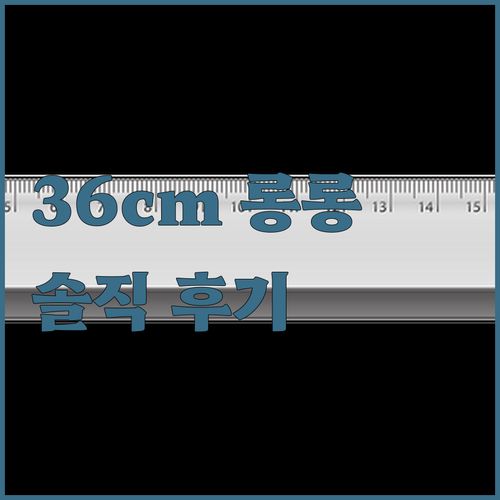 36cm 롱롱 돌돌이 밀대 솔직 후기