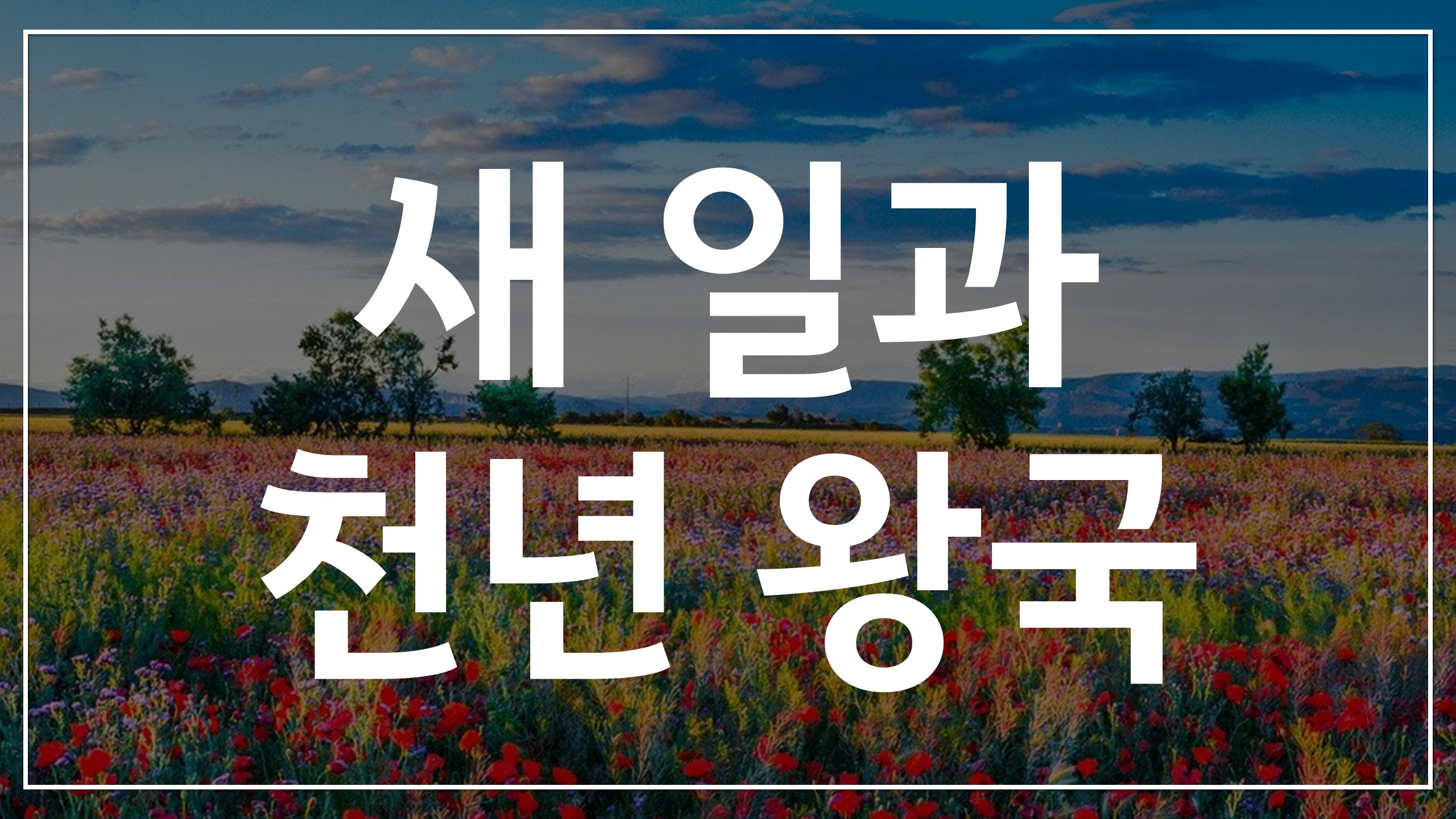  새일교회 | 새 일과 천년왕국