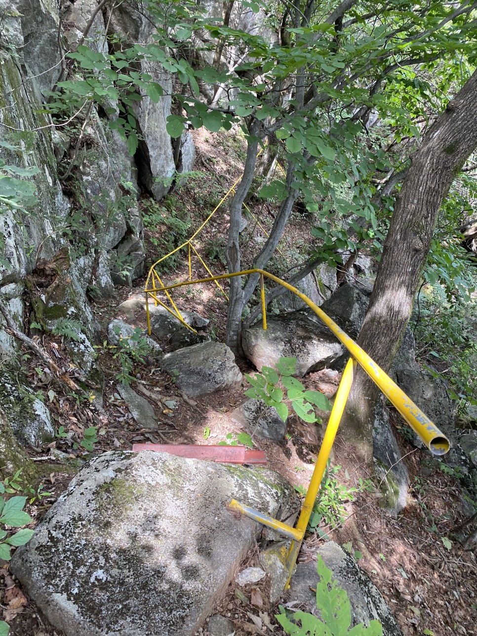 홍길동이 다녀간 40