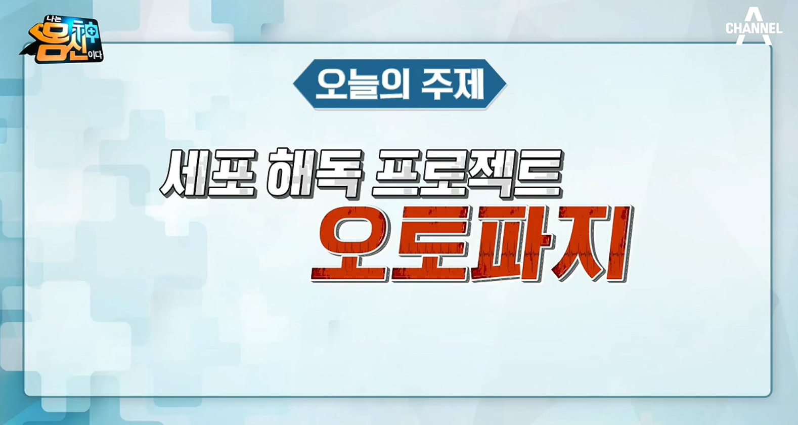 세포 해독 프로젝트 오토파지주스 8
