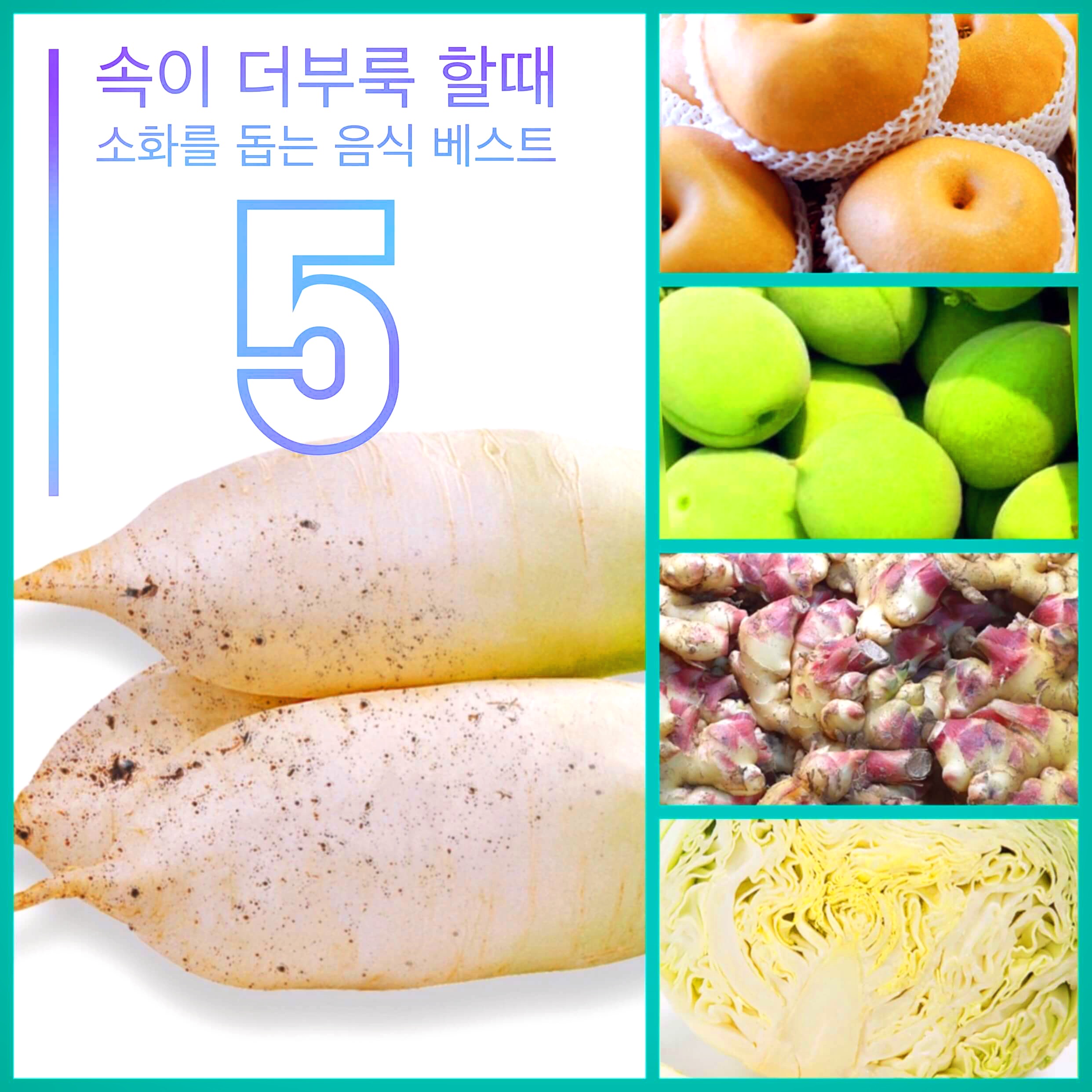  속이 더부룩 할때 소화를 돕는 음식 베스트 5