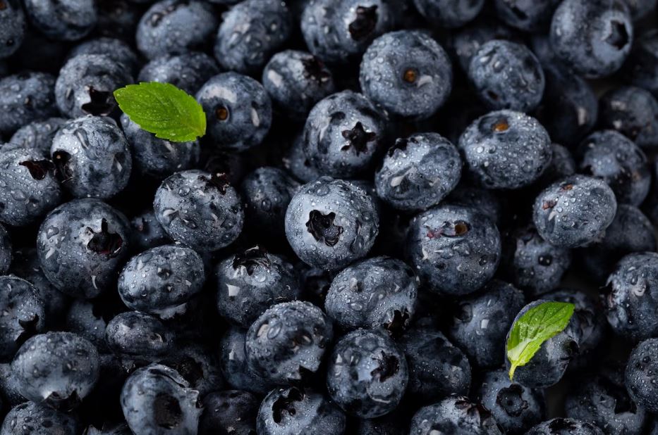 신장에 좋은 음식 요약 2