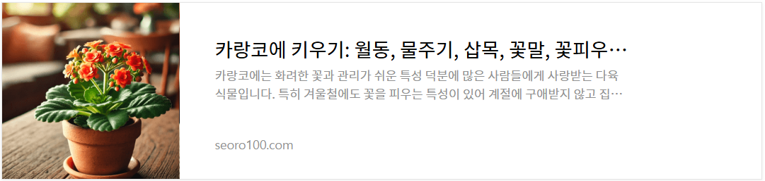 카랑코에 키우기 2