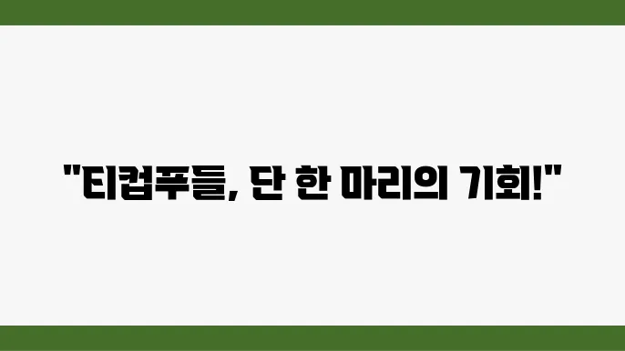 전국 티컵푸들 분양 소식, 뜨거운 인기!