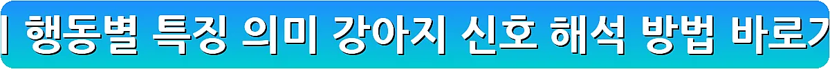 강아지 행동별 특징 의미 강아지 신호 해석 방법_14