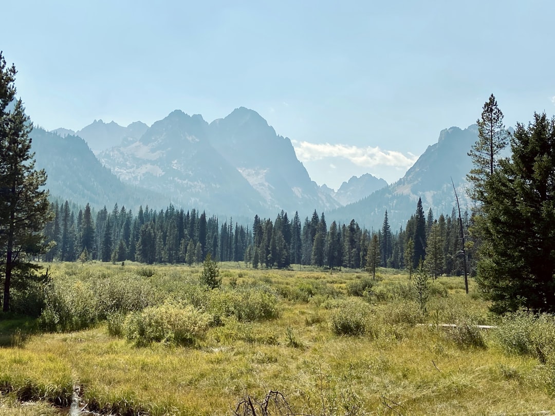 Idaho