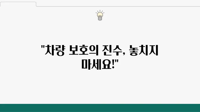 PPF와 유리막코팅 기반 자동차 보호