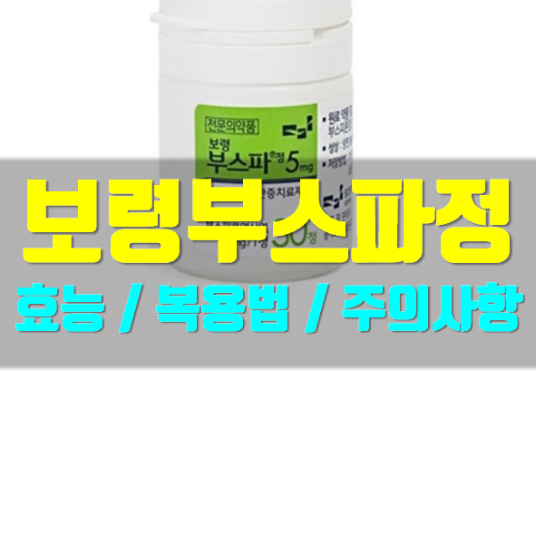  보령 부스파정 5mg 언제 먹는 약인가요?