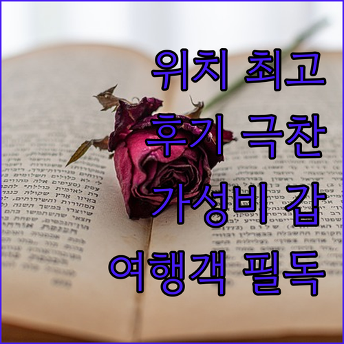 뒤셀도르프 여행객 필독 최고의 위치와