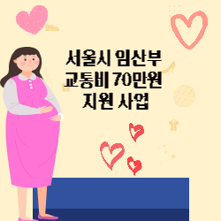 서울시 임산부 교통비 지원 사업