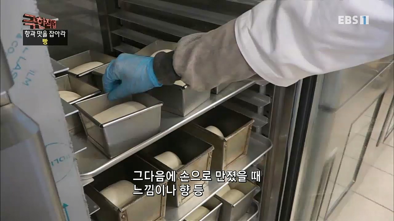 TV - 교육의 중심 EBS향과 맛을 잡아라 - 빵과 커피.mp4_20230107_184729.880.jpg