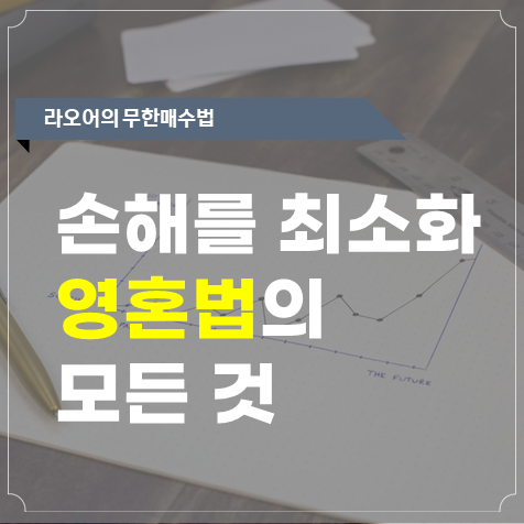  라오어 무한매수 영혼법의 모든 것(투자방법, 장단점 등)