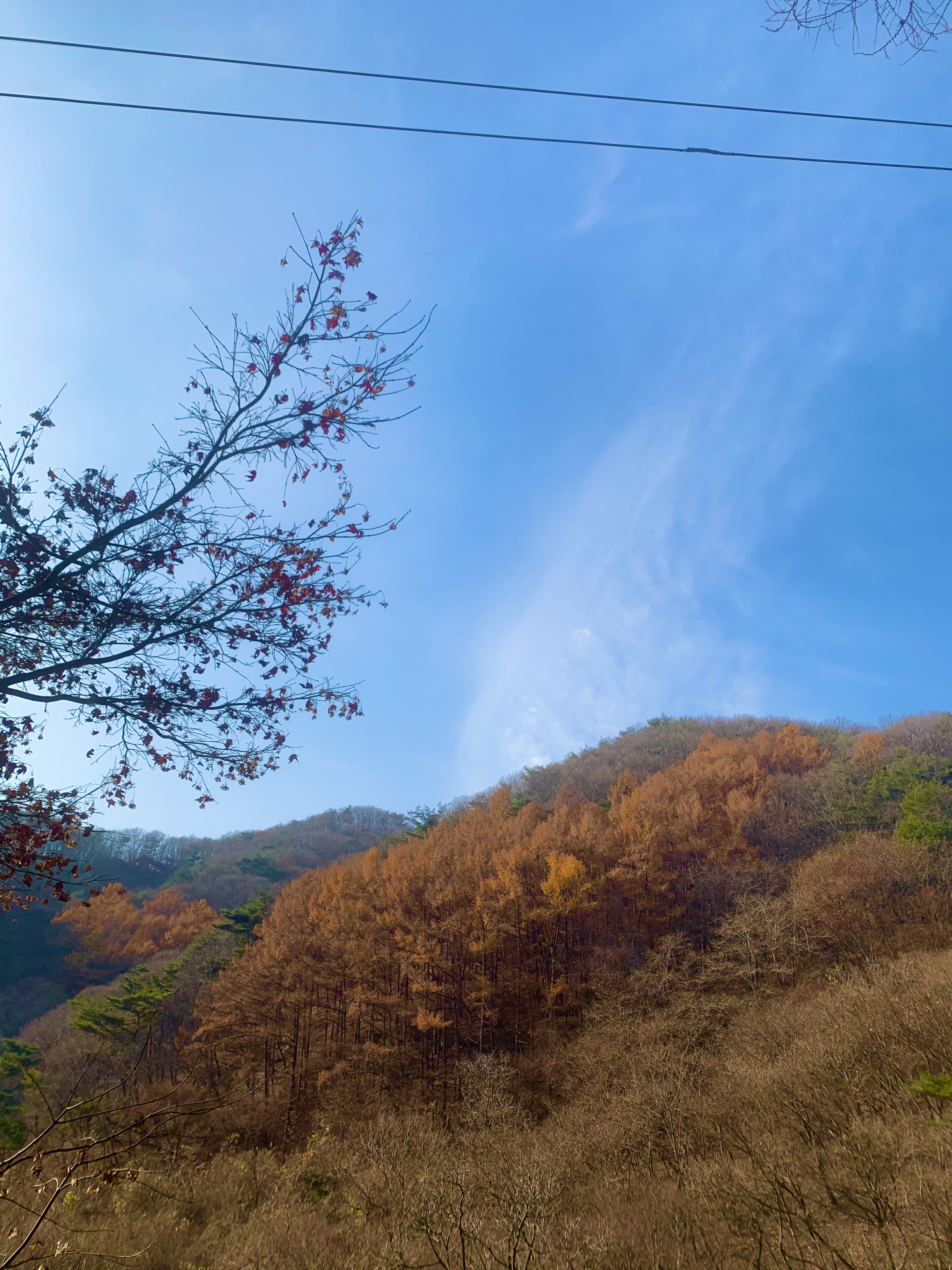  충남 천안 100대명산 광덕산 등산코스