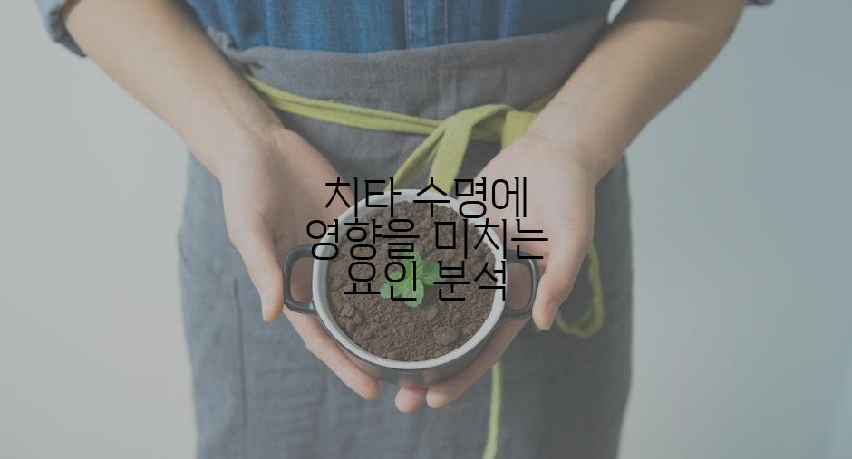 치타 수명에 영향을 미치는 요인 분석