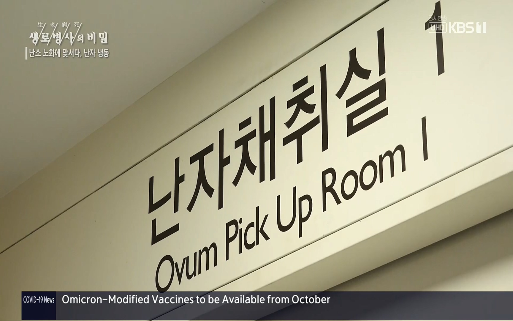 생로병사의 비밀.E836.220921p.H264-F1RST.mp4_20220925_183645.475.jpg