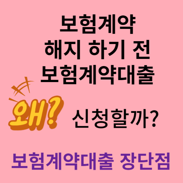 보험계약대출