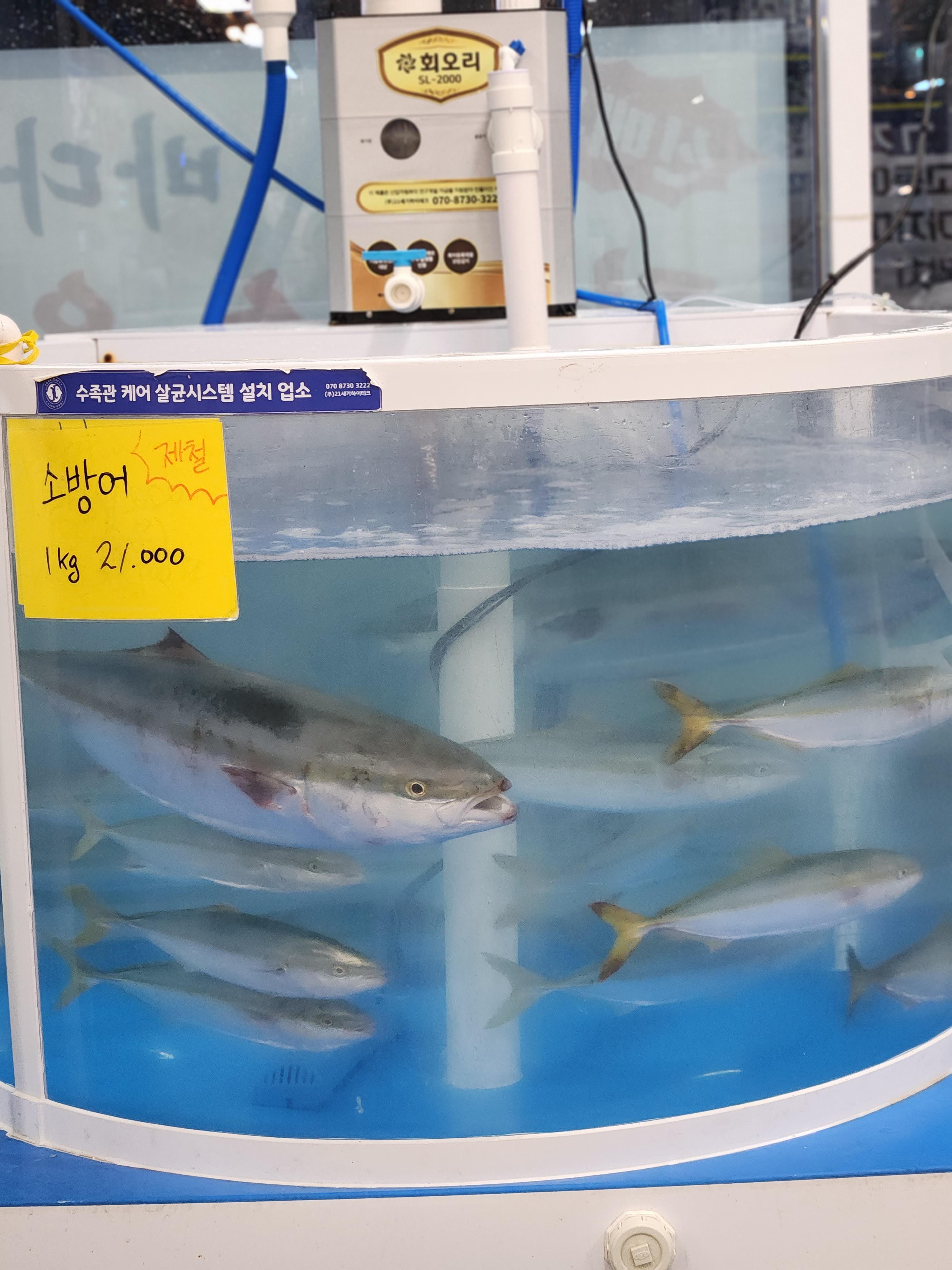 금미식품 이미지