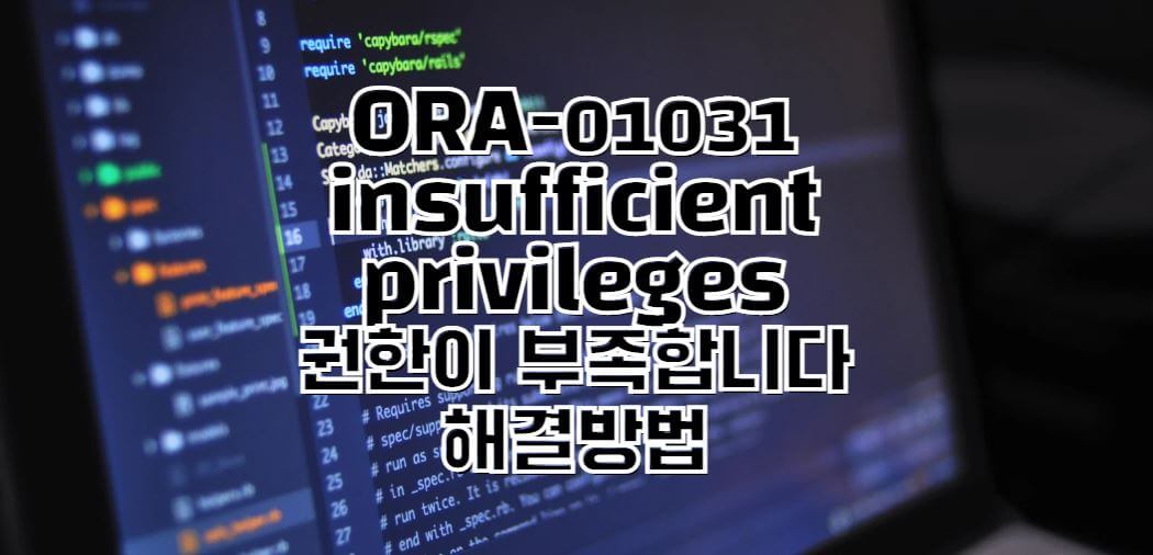 ORA-01031-오류-해결방법-썸네일