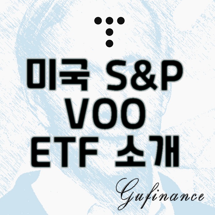  ETF 소개 : S&P 500에 직접 투자하는 방법, voo ETF