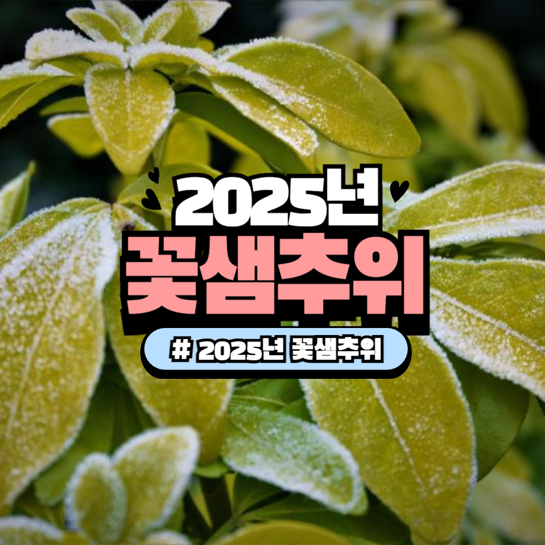 2025년 꽃샘추위